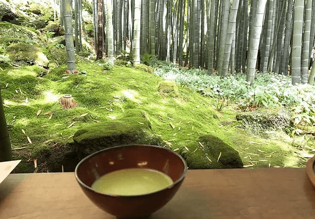 『鎌倉のお寺をお坊さんと巡るツアー』レポート②