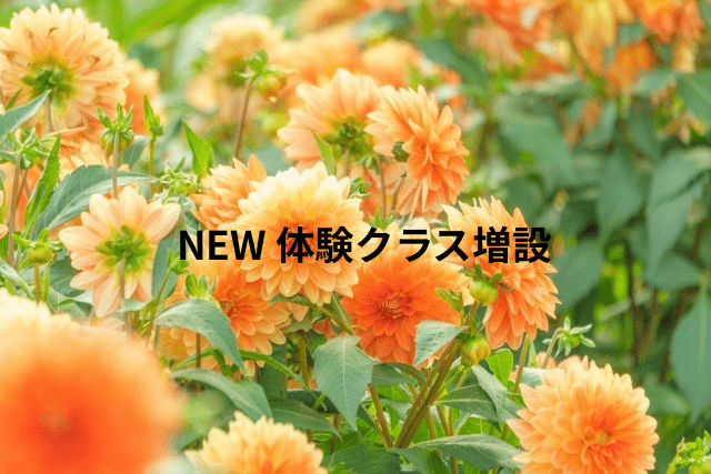 ＜お知らせ＞体験クラス増設しました！
