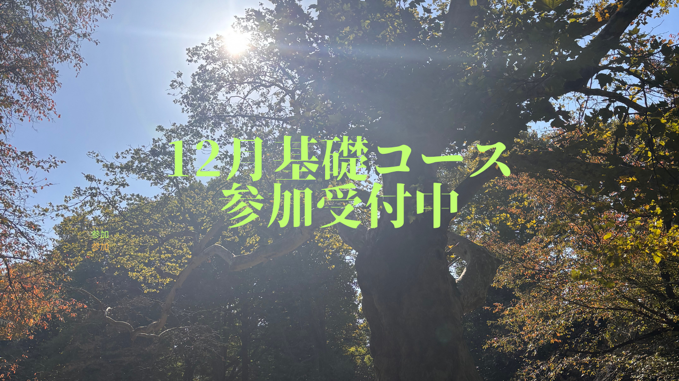 12月基礎コース／参加受付中
